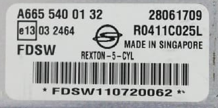A6655400132 28061709 R0411C025L DELPHI SsanyonG Rexton 2.7 2005Y KTAG BOOT FLASH.rar